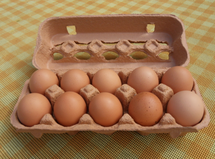 10 egg paper made tray packaging