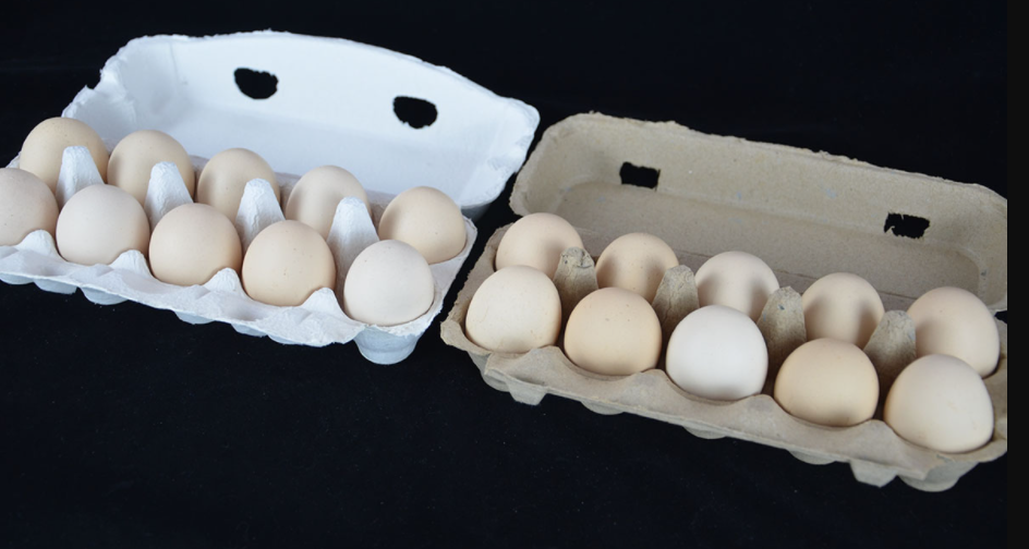Paper-pulp-egg-packaging-3