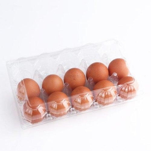 Plastic-clamshell-tray-egg-packaging-2