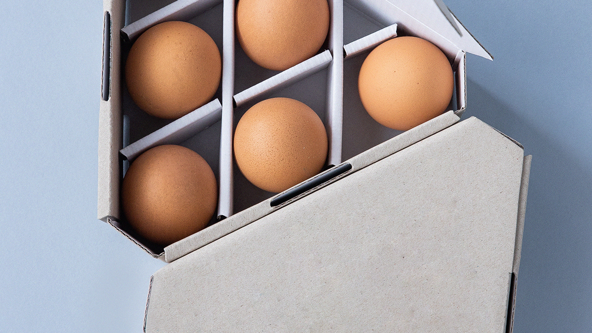 24 Pack Plastic Egg Cartons Bulk Empty Clear Chicken Egg Tray